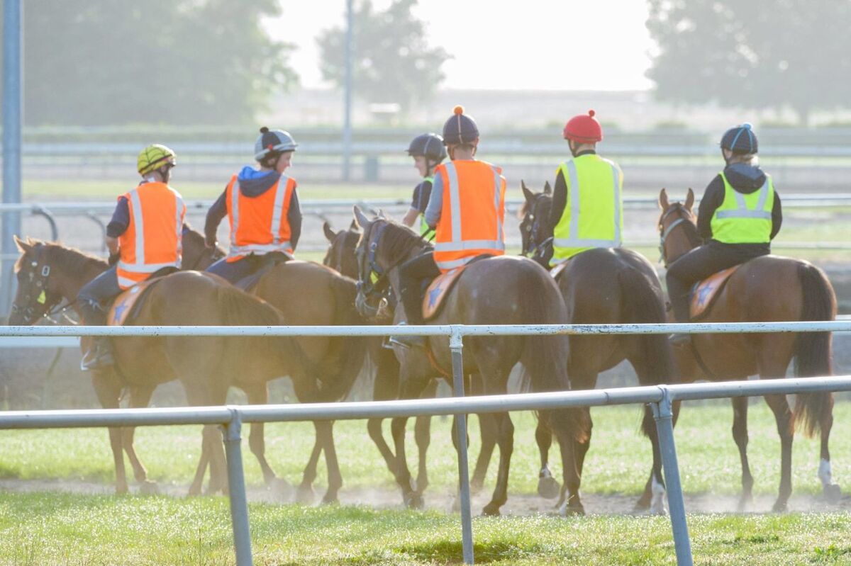 Te Akau Tuesday Trackwork