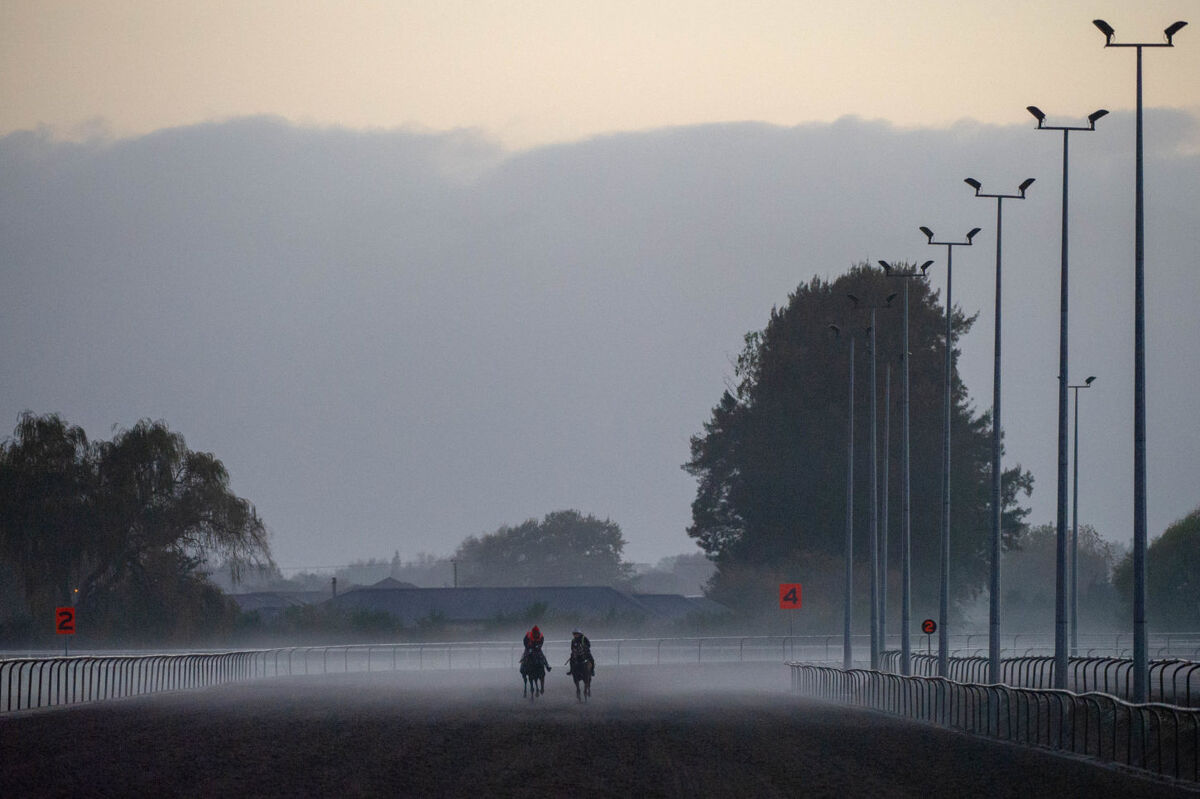 Te Akau Thursday Trackwork