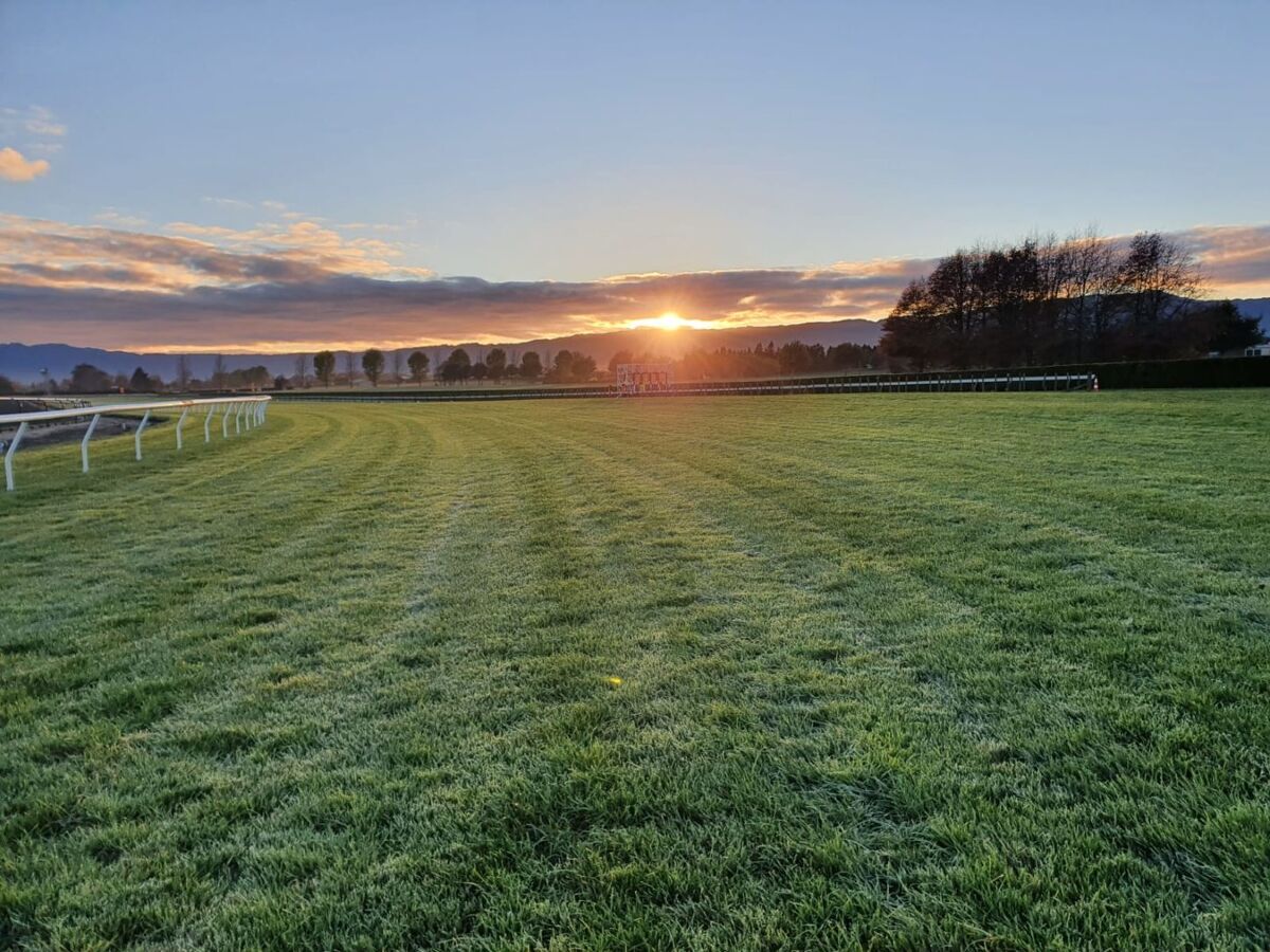 Te Akau Weekend Trackwork