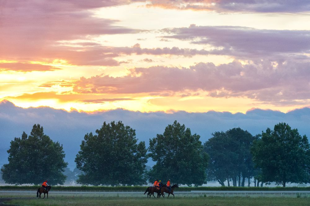 Te Akau NZ Weekend Trackwork