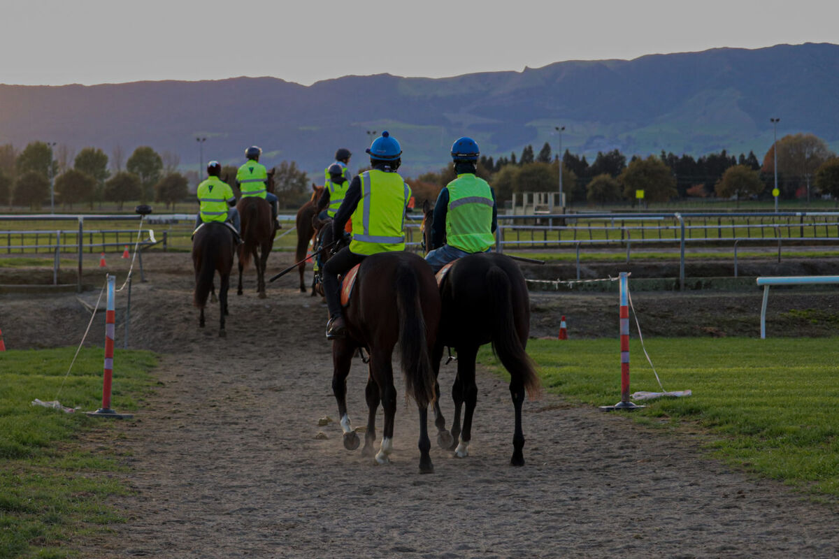 Te Akau Thursday Trackwork