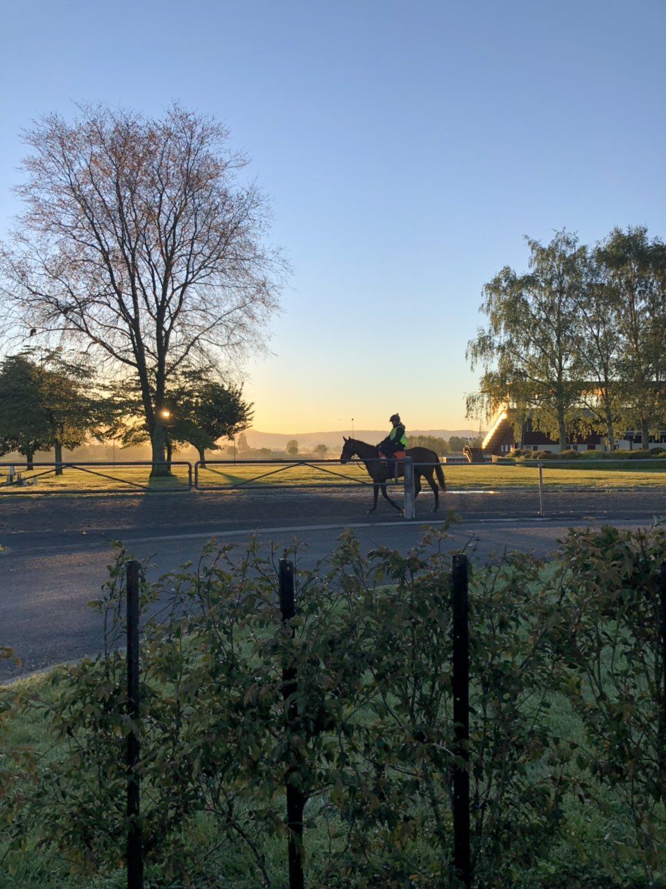 Te Akau Weekend Trackwork
