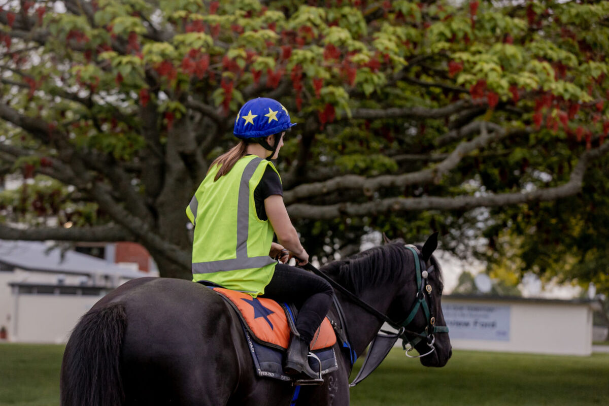 Te Akau Tuesday Trackwork