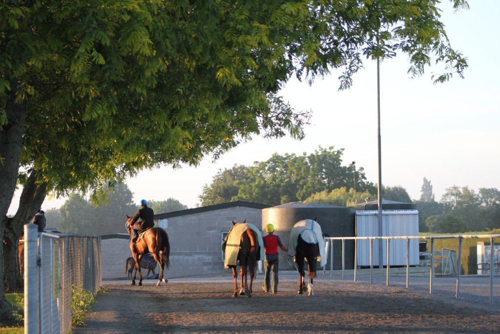 Te Akau Saturday Trackwork