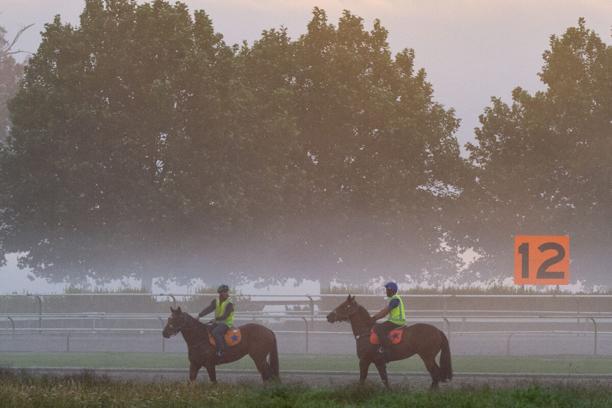Te Akau Tuesday Trackwork