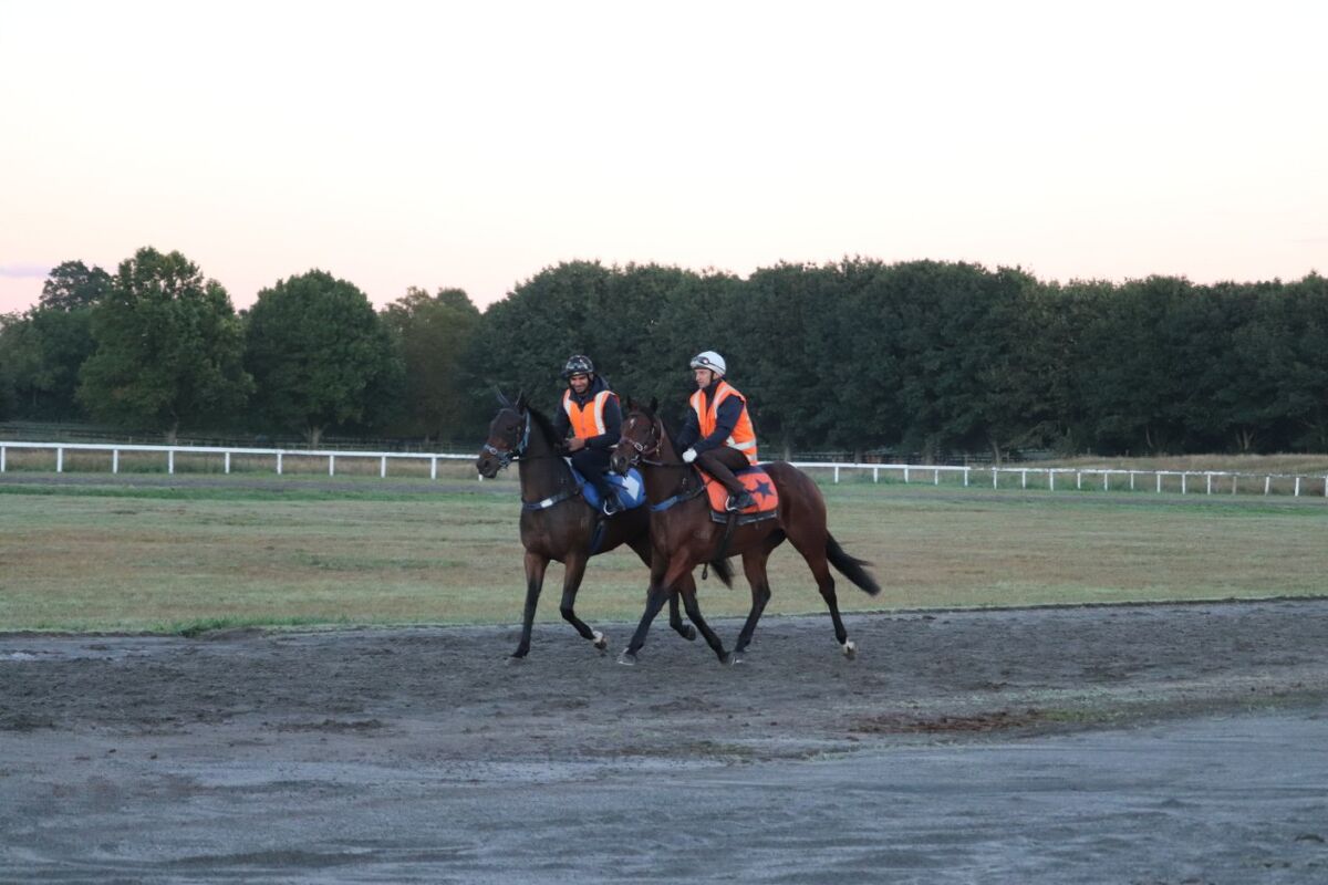 Te Akau Weekend Trackwork