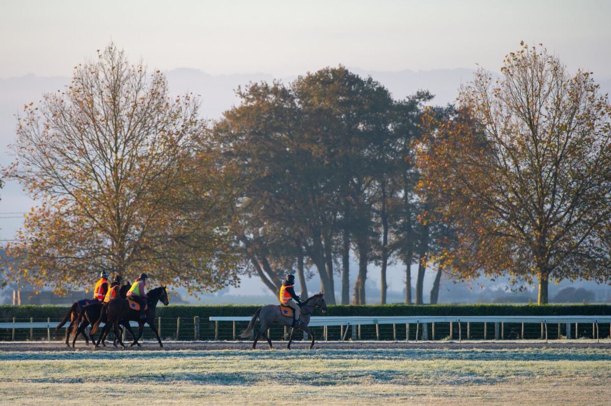 Te Akau Weekend Trackwork