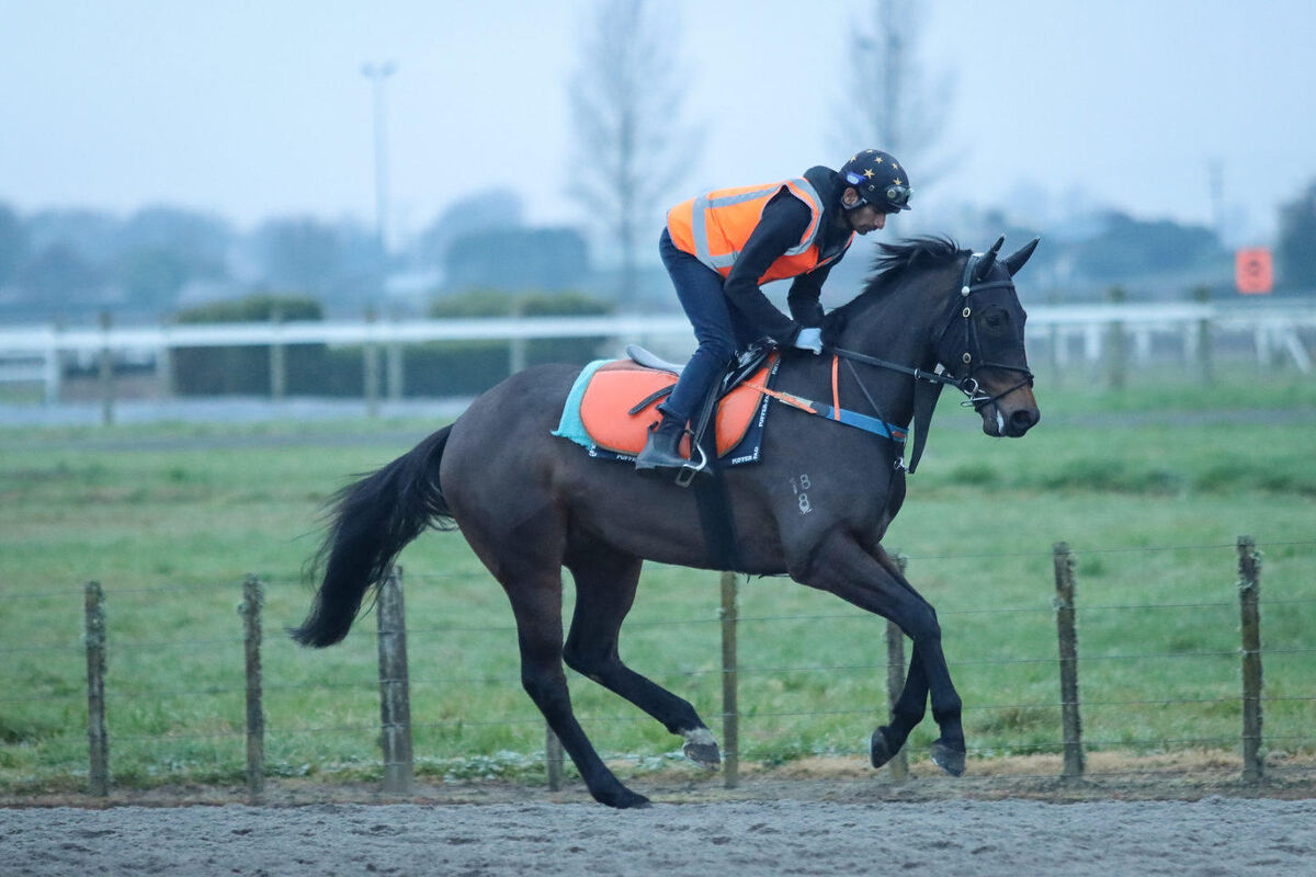 Te Akau Tuesday Trackwork
