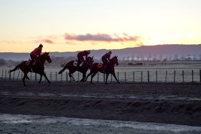 Te Akau Thursday Trackwork