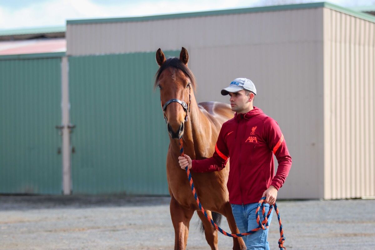 Te Akau Tuesday Trackwork