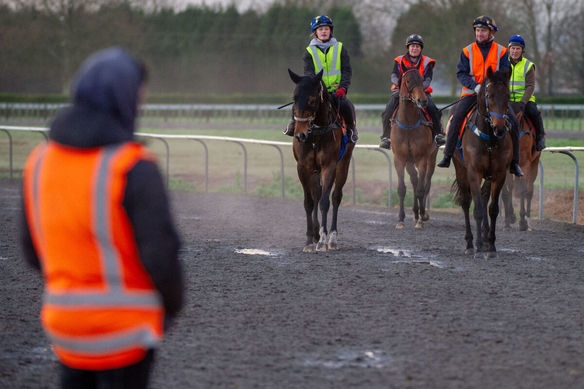 Te Akau Friday Trackwork