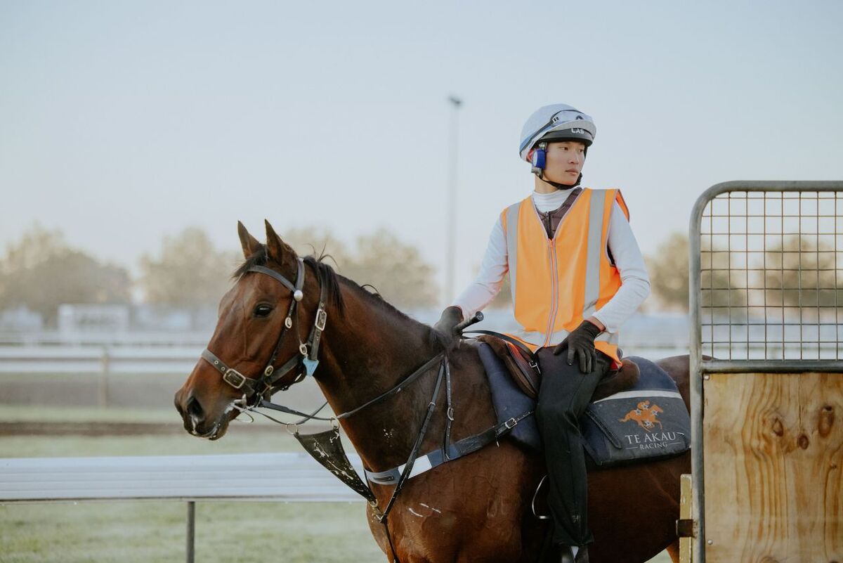 Te Akau Trans Tasman Weekend Trackwork