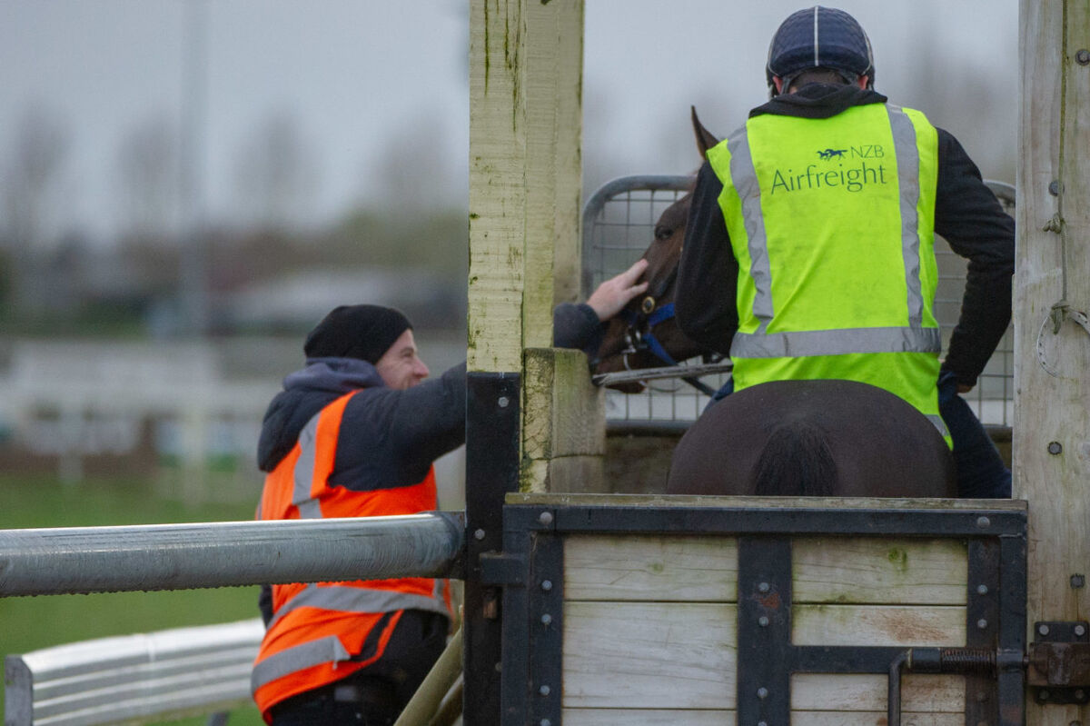 Te Akau Weekend Trackwork