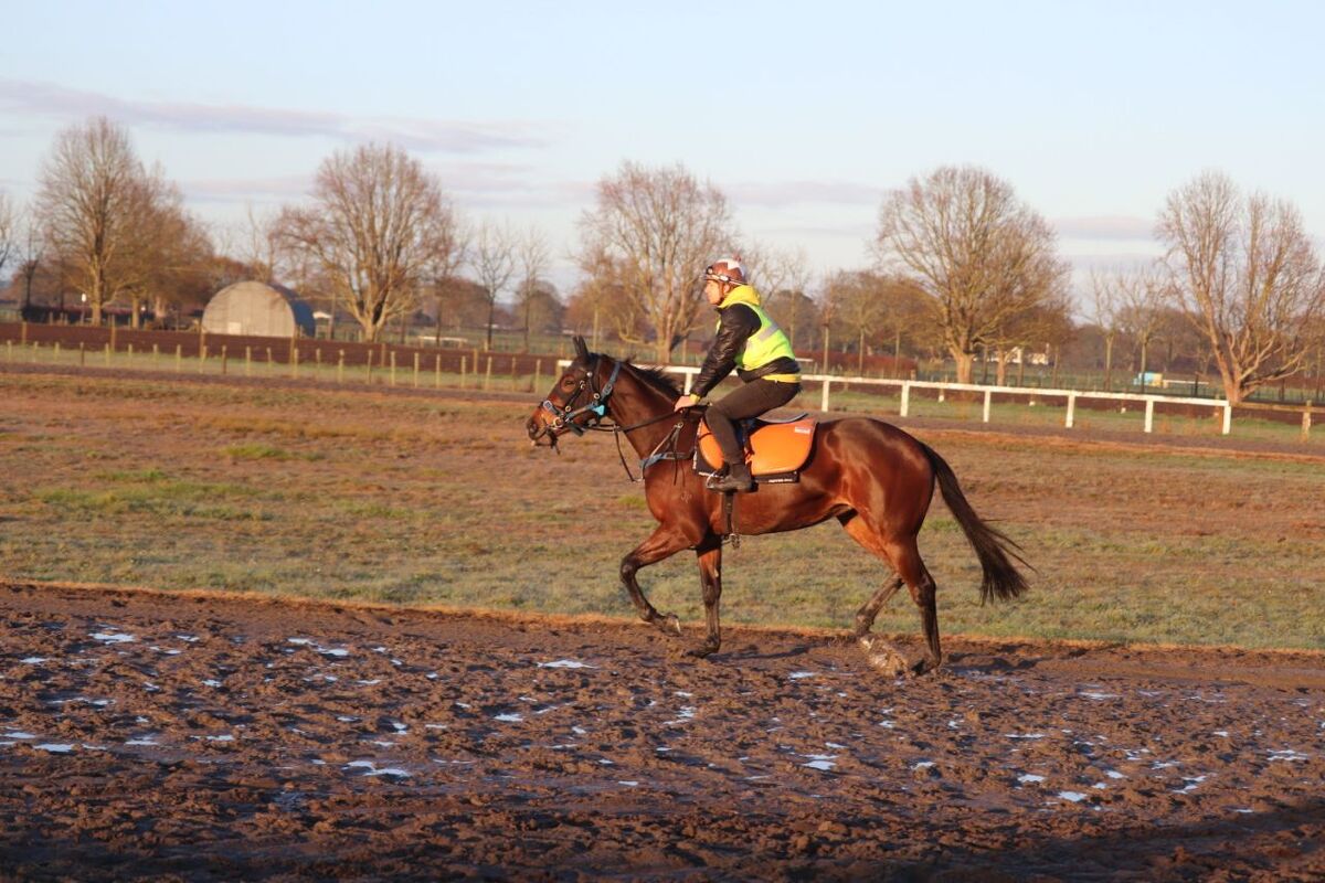 Te Akau Thursday Trackwork