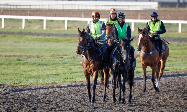 Te Akau Trans Tasman Thursday Trackwork