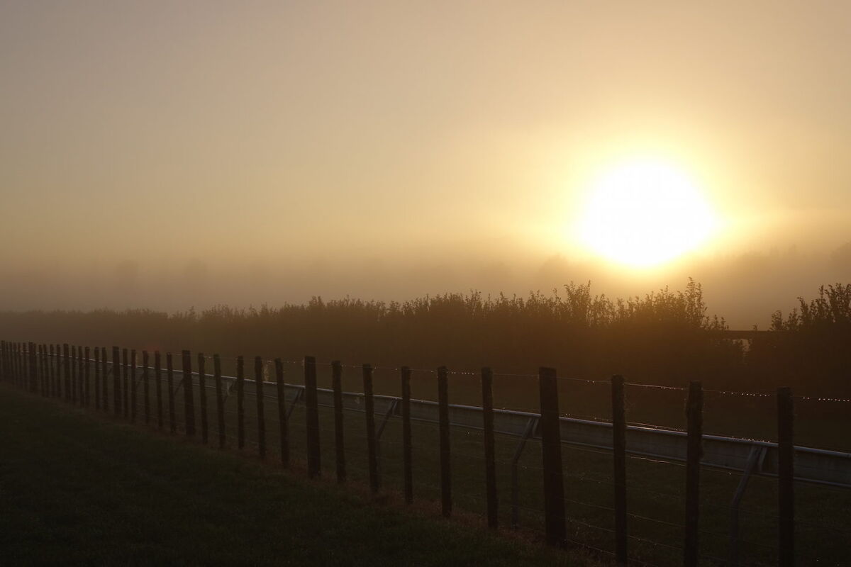 Te Akau Thursday Trackwork