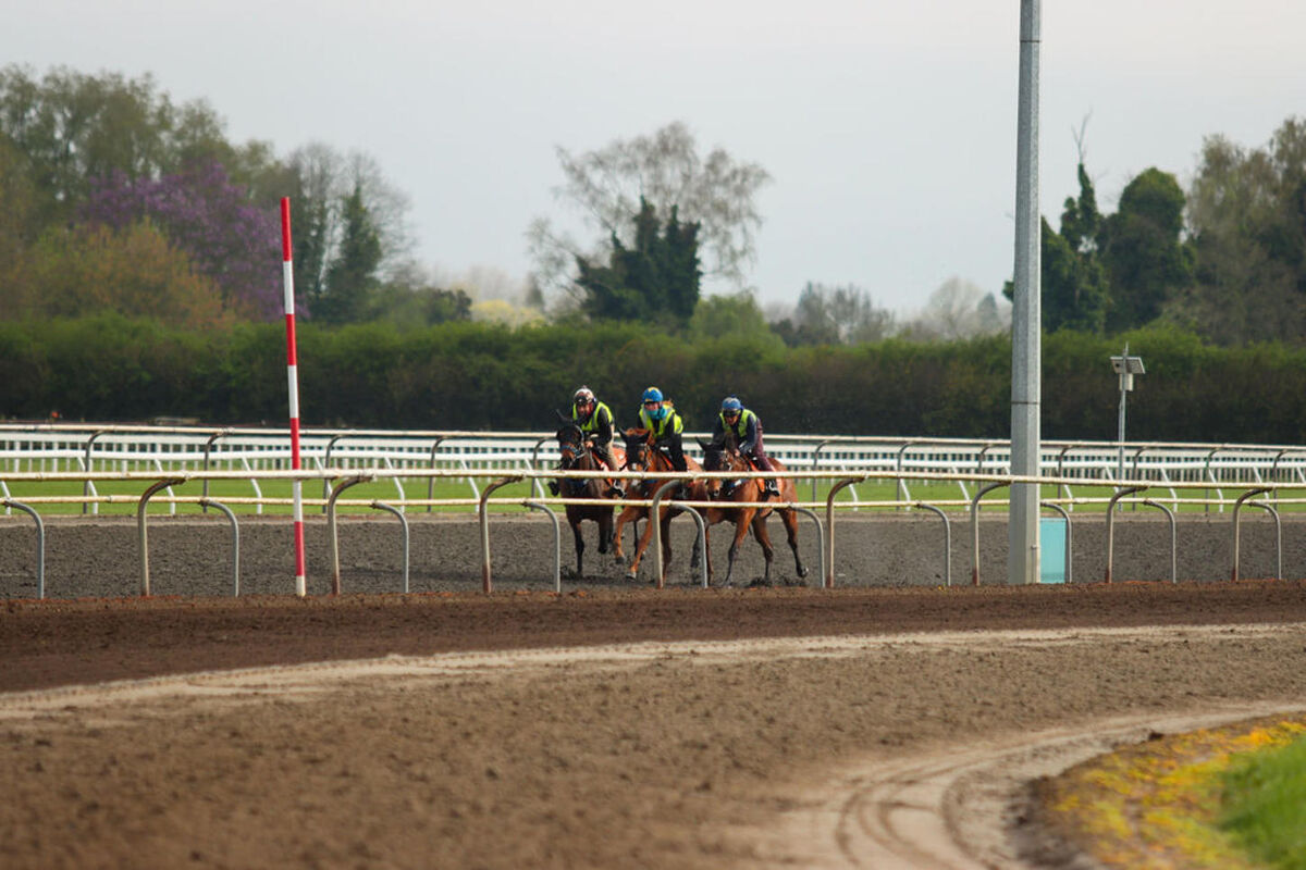 Te Akau Tuesday Trackwork