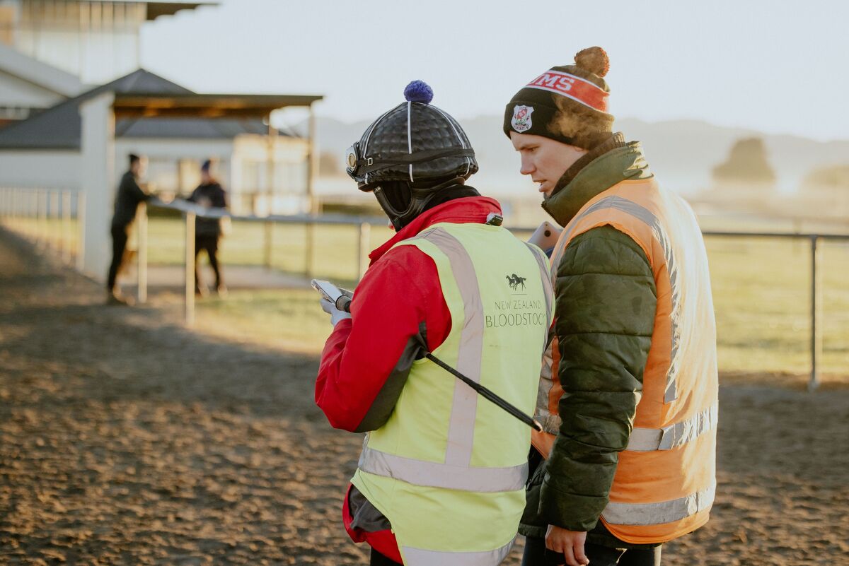 Te Akau Trans Tasman Tuesday Trackwork