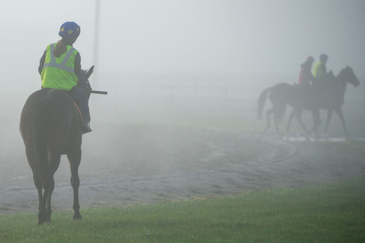 Te Akau Tuesday Trackwork