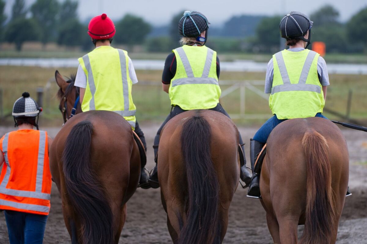 Te Akau Tuesday Trackwork