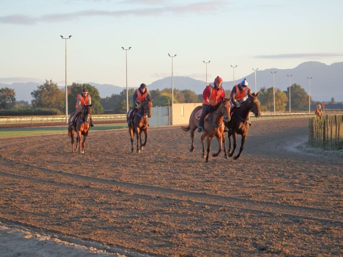 Te Akau Thursday Trackwork