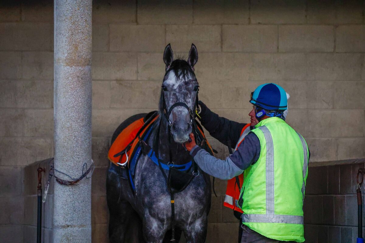 Te Akau NZ Thursday Trackwork