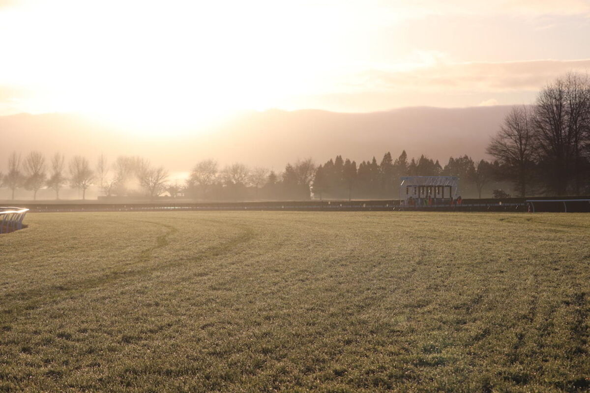Te Akau Tuesday Trackwork