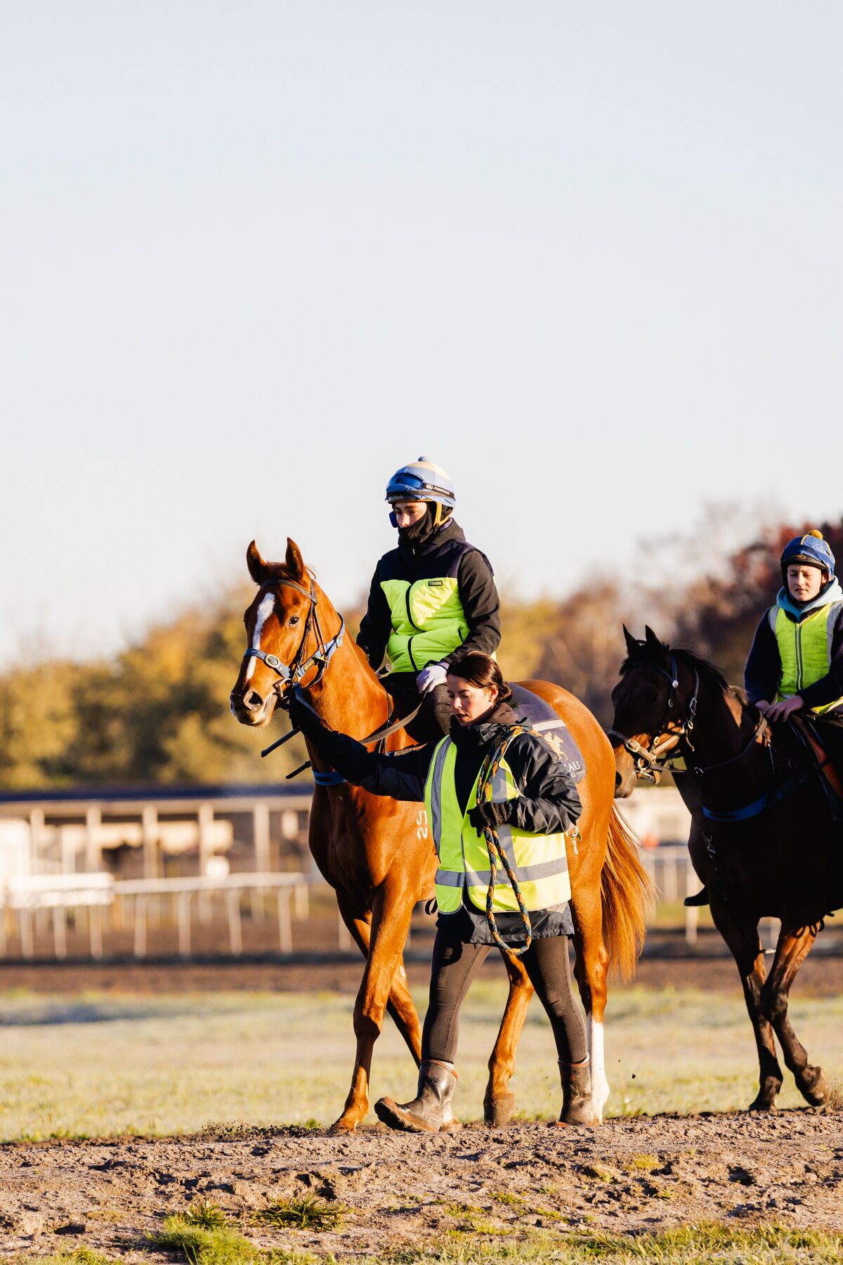 Te Akau Midweek/Thursday Trackwork