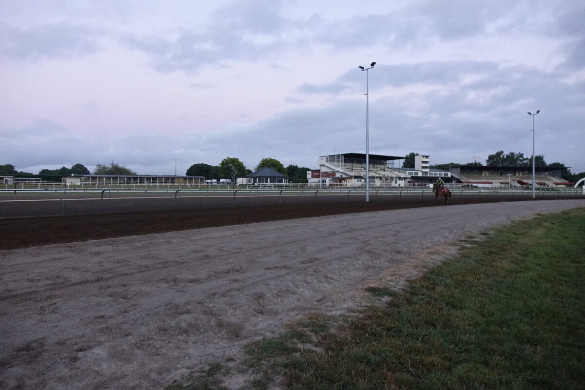Te Akau Tuesday Trackwork