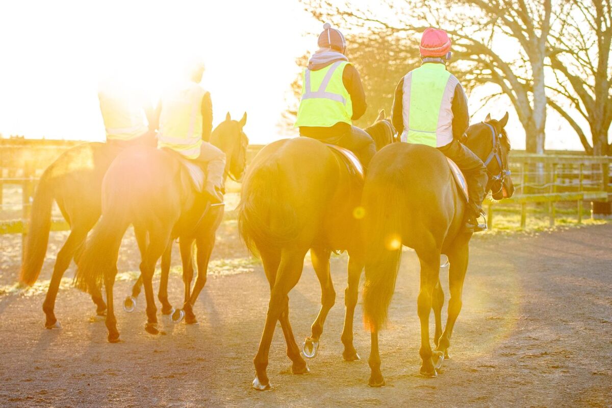 Te Akau Tuesday Trackwork