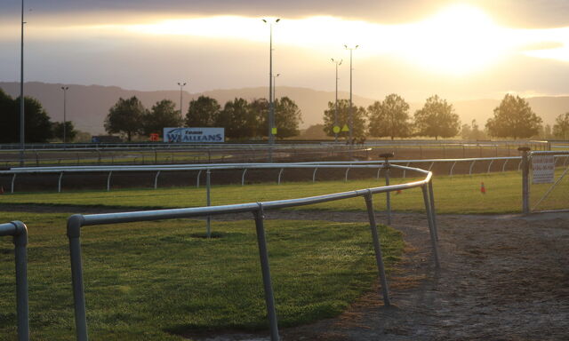 Te Akau Trans Tasman Saturday Trackwork