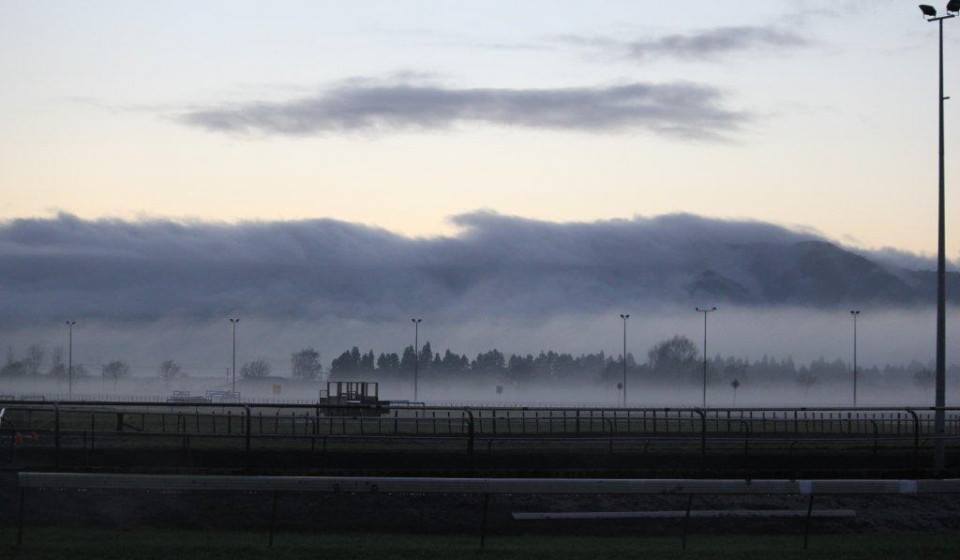 Te Akau Weekend Trackwork