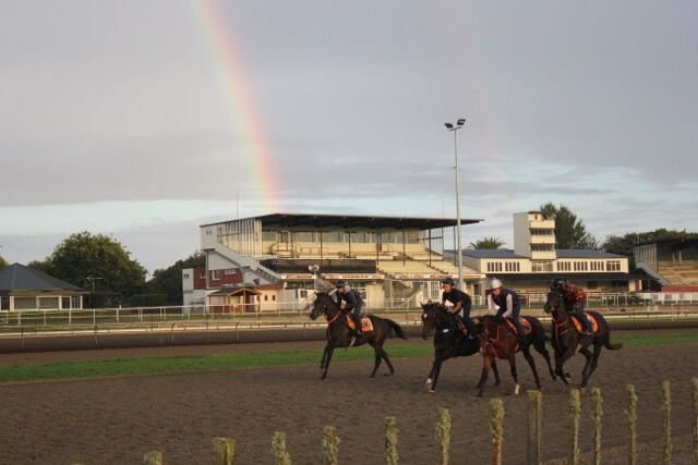 Te Akau Tuesday Trackwork