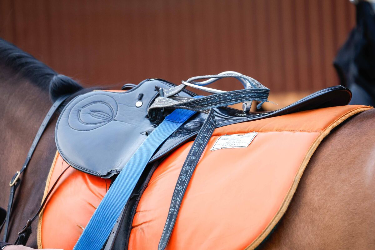 Te Akau Trans Tasman Weekend Trackwork