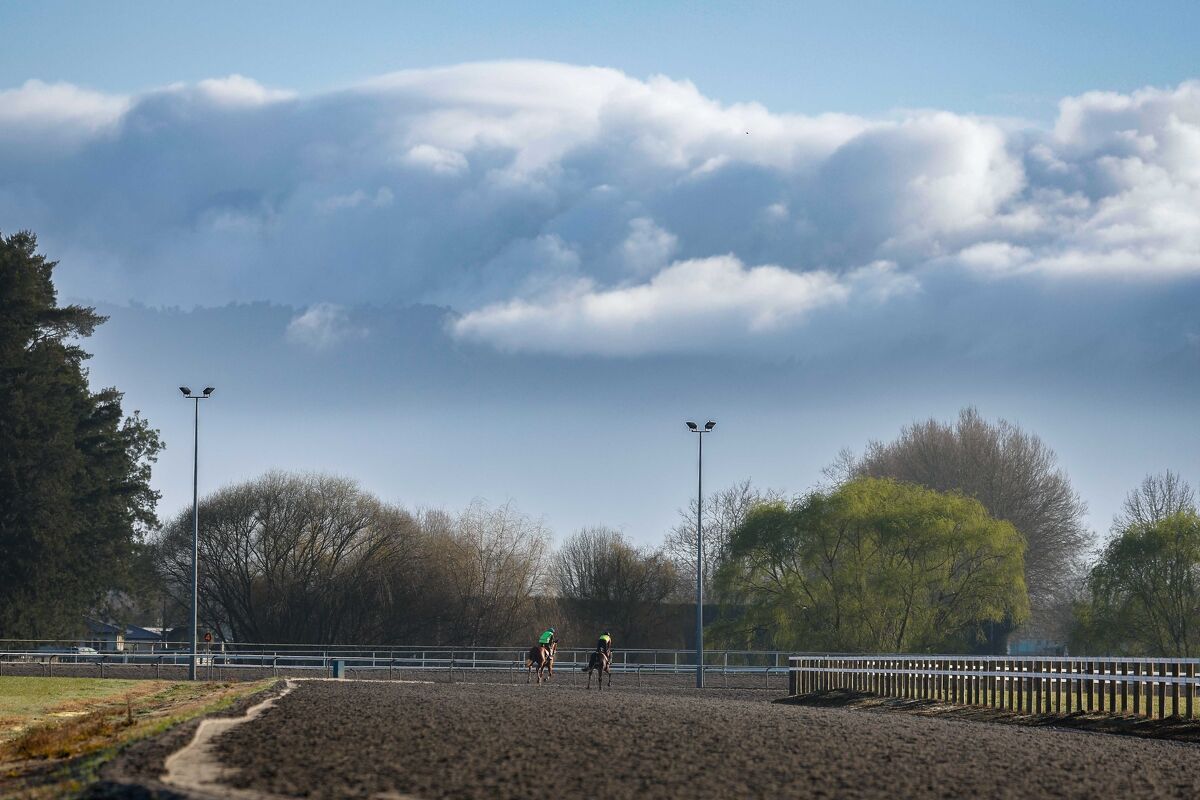 Te Akau Trans Tasman Weekend Trackwork