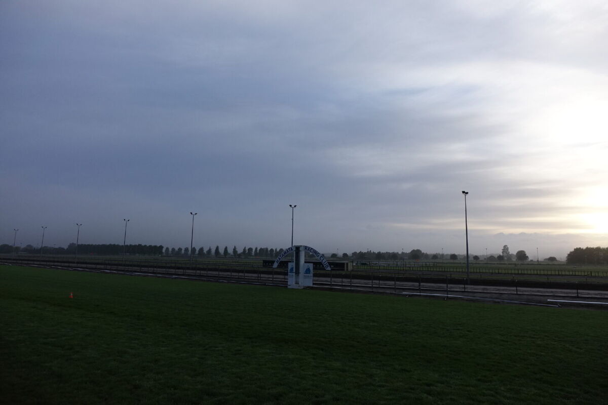 Te Akau Thursday Trackwork