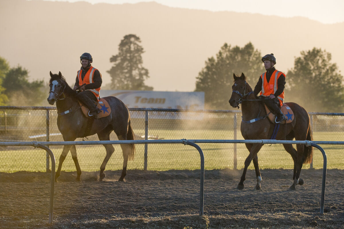 Te Akau Thursday Trackwork