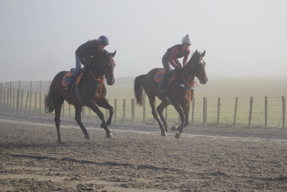 Te Akau Tuesday Trackwork