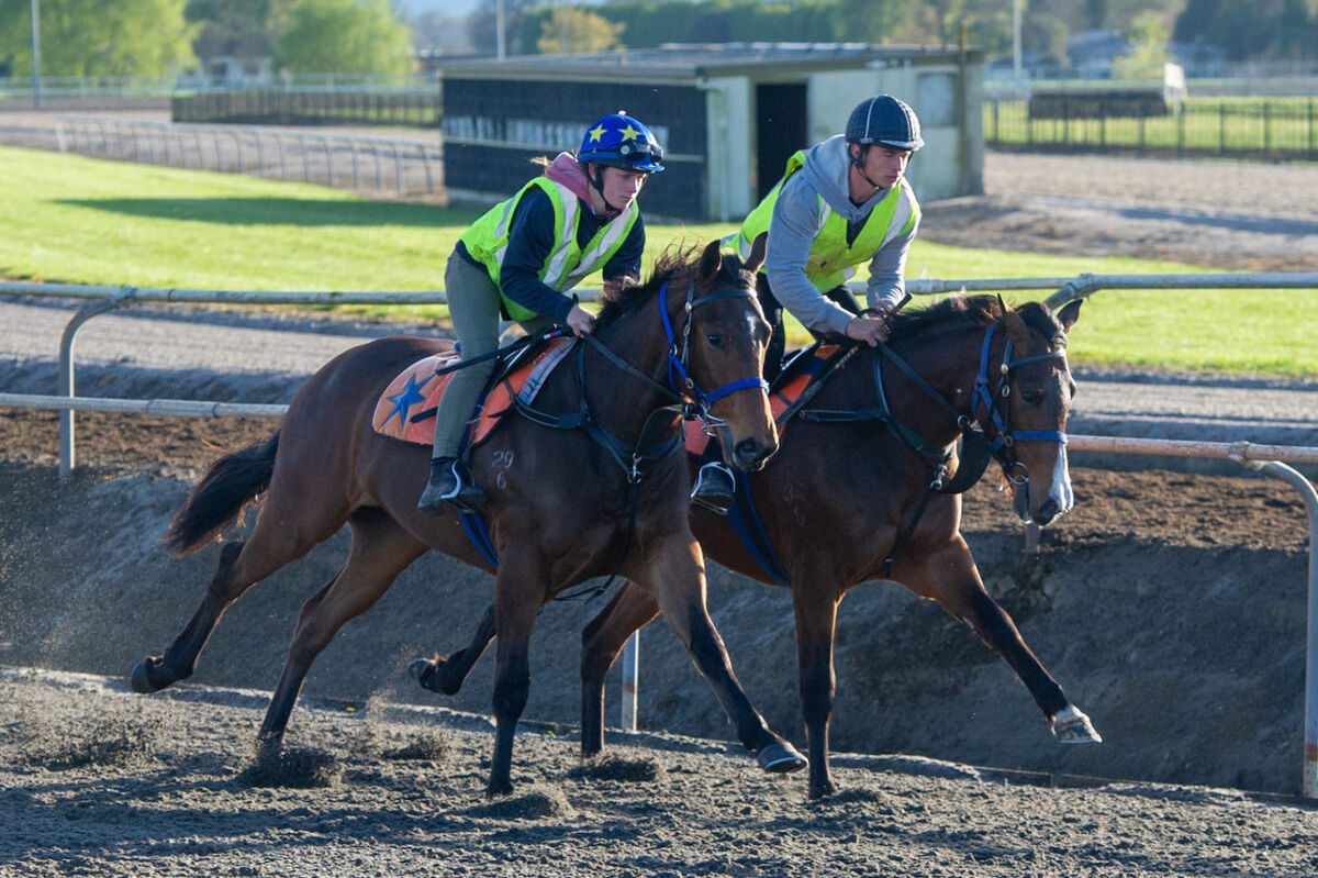 Te Akau Weekend Trackwork
