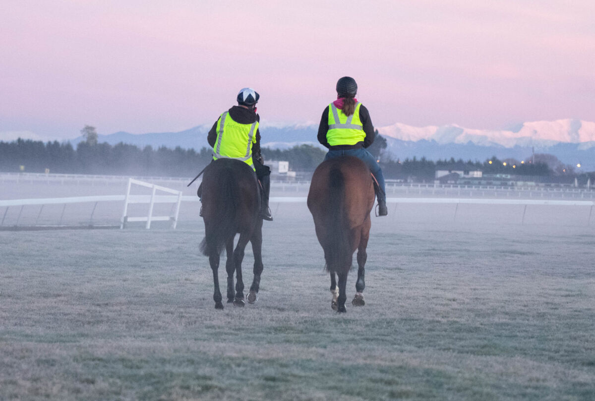 Te Akau Tuesday Trackwork