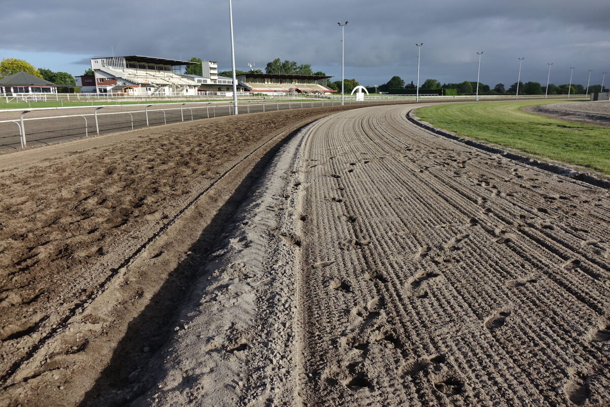 Te Akau Thursday Trackwork