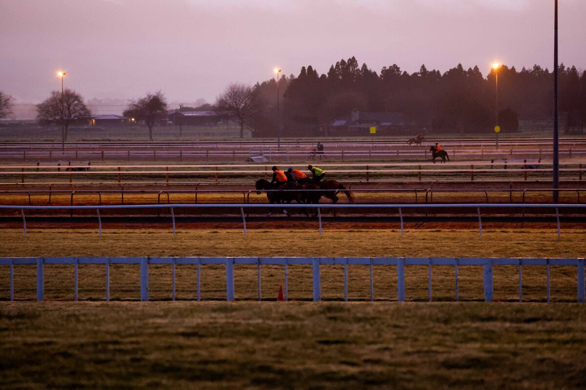 Te Akau NZ Midweek Trackwork