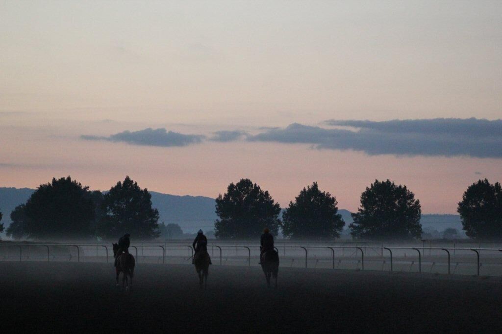 Te Akau Saturday Trackwork