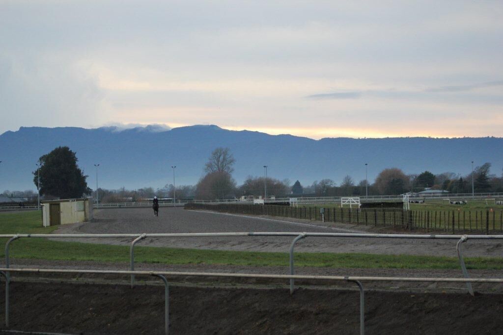 Te Akau Thursday Trackwork