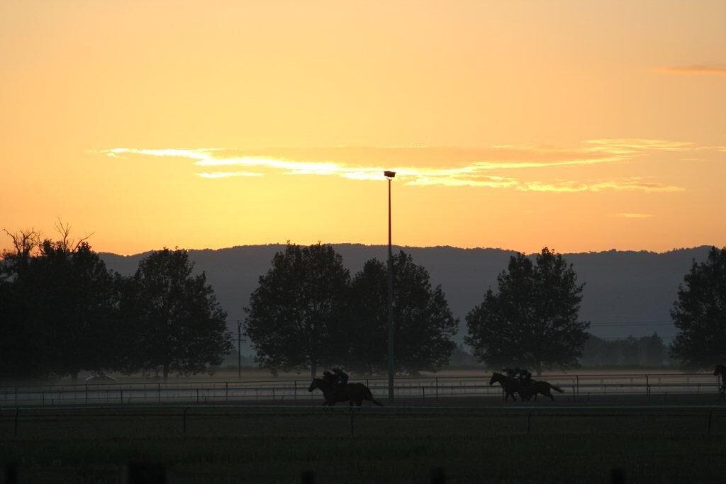 Te Akau Midweek Trackwork