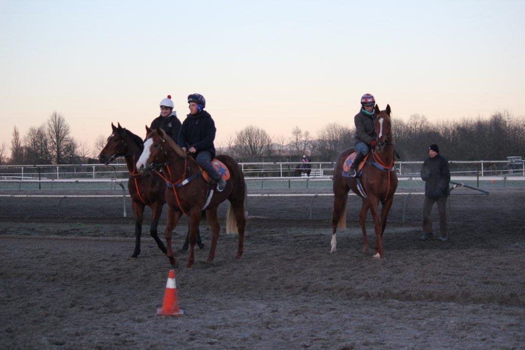 Te Akau Midweek Trackwork