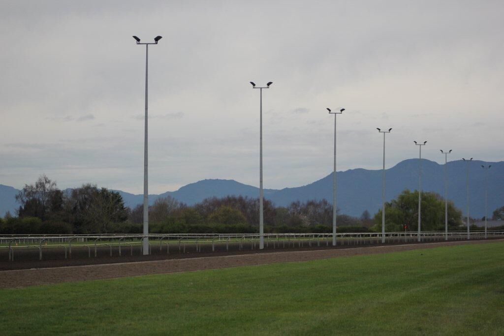 Matamata Tuesday Trackwork