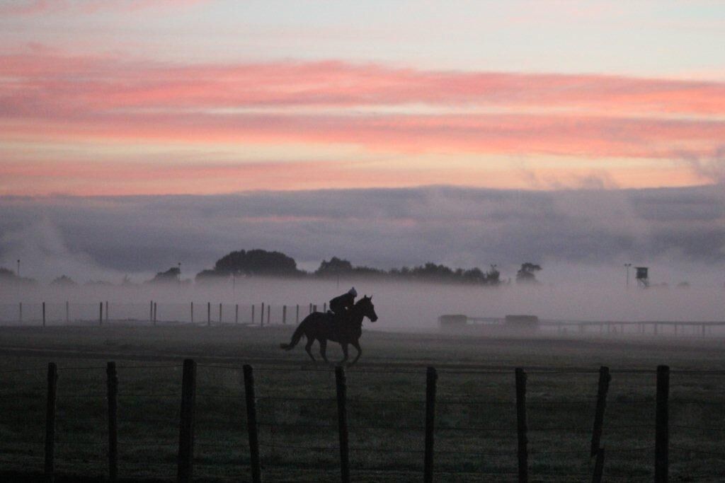 Te Akau Tuesday Trackwork