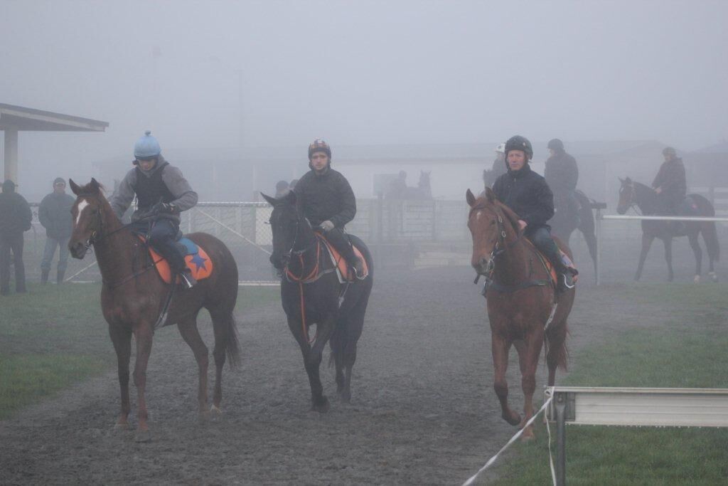 Matamata Tuesday Trackwork