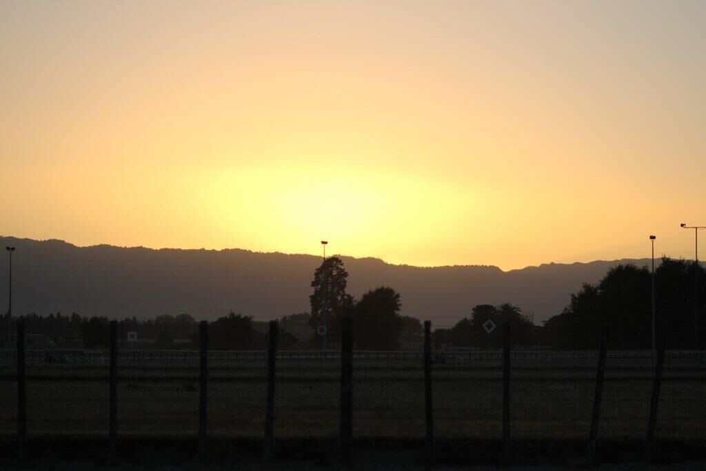 Matamata Tuesday Trackwork
